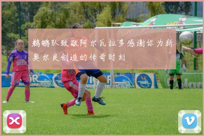 鹈鹕队致敬阿尔瓦拉多感谢你为新奥尔良创造的传奇时刻