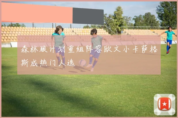 森林狼计划重组阵容欧文小卡萨格斯成热门人选