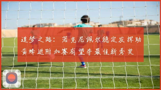 追梦之路：若克尼佩尔稳定发挥助黄蜂进附加赛有望夺最佳新秀奖